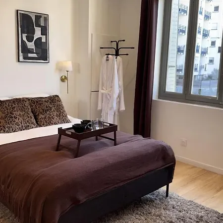 Comfortable 15 Minutes From Lyon Villeurbanne