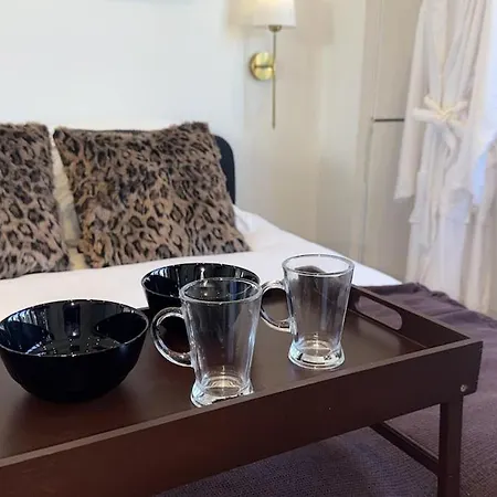 Lejlighed Comfortable 15 Minutes From Lyon Villeurbanne